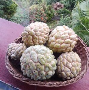 Meet your Posher, Leon